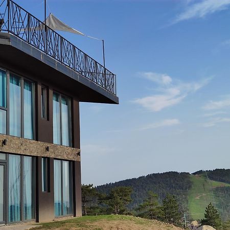Vila Onyx Divčibare Zewnętrze zdjęcie